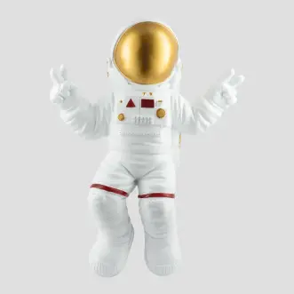 Astronaut 110217